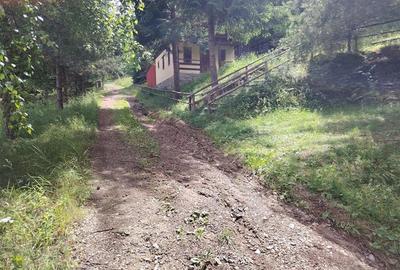 Casa de vacanta nefinalizata (Gheorgheni, zona Magasbukk, km 5) - 23