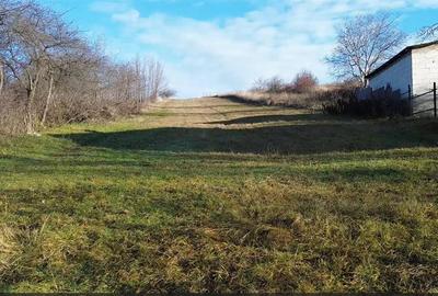 Teren Intravilan 2460 mp Suceava De Vanzare 0727817187 - 1