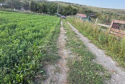 Vanzare teren extravilan zona Valea Fanatelor acces din zona Auchan Iris, Cluj-N - 4