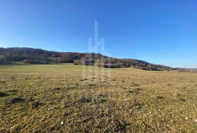 Teren de 7.500 mp de vânzare în Bradu, Avrig-COMISION 0% – lângă râul Olt. - 3