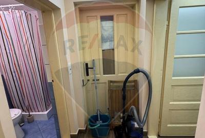 Casă / Vilă nouă cu 5 camere + casă bătranească renovată - 19