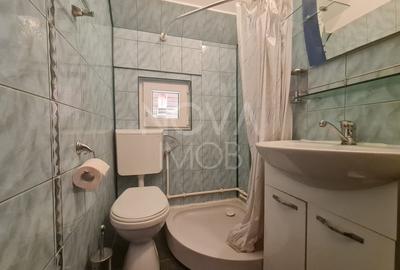 Casa de vacanta - Valea Lotrioarei, Sibiu - 12