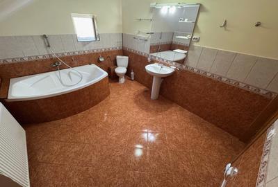 Vand in Stefanesti Casă individuală trainică. Intimitate și confort - 12