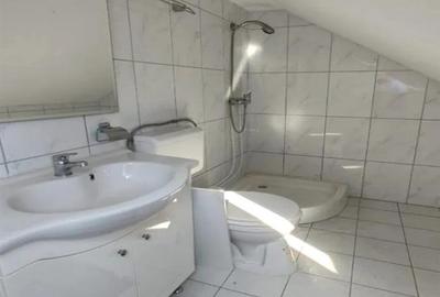 Casa P+M cu teren generos si loturi suplimentare in Baia de Cris - 13