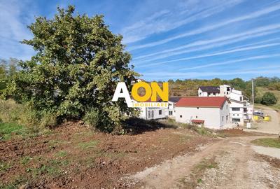 Teren Construcții intravilan de 6400 mp, în Cetate