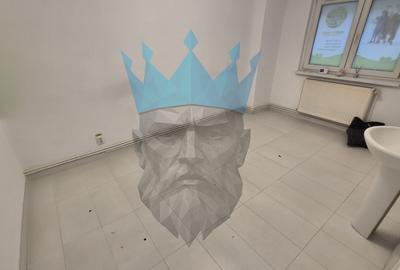 Spatiu Comercial Tei - 15