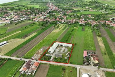RECO Hala frigorifica Lugasu de Jos Bihor - 3