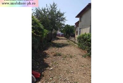 Teren de vanzare - Bereasca (vizavi Gama) - 6