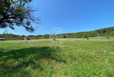 Teren 11.000 mp-ideal cabana/ferma-Unirea-Valea Slatinitei - 8