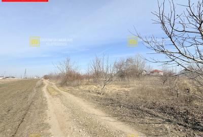 Teren 600mp in Vanatori la iesirea spre Odaia Manolache - 4