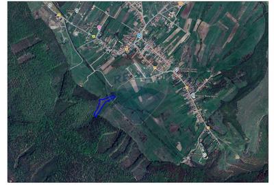 Teren intravilan, 9465 mp, Betfia, lângă pădure, de vânzare - 3