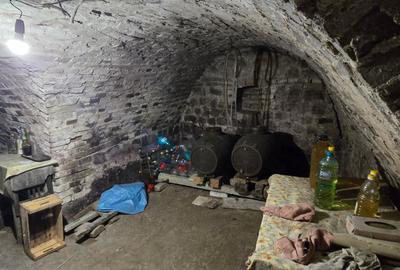 Casa de vacanta Odobesti - 3