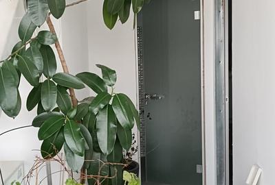 Inchiriere hala/depozit individual 1300mp (depozit 1030mp + Birouri) - 5