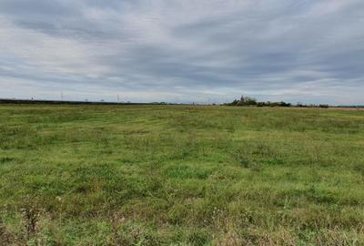 PLOIESTI zona de Centura - intravilan industrial 23500 mp la 7 eu/mp - 4