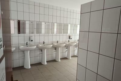 Hala industriala Brasov,zona Astra - 9