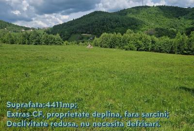 Oportunitate Investitie! Teren Intravilan, 4411 mp, Valea Ierii - 2