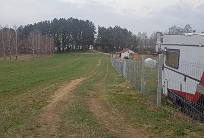 De vânzare terenuri intravilane în Reci - 10