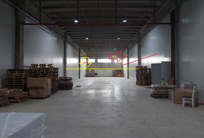 Spațiu industrial, 5000 mp în Tache