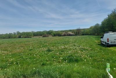 Teren de vanzare intravilan 5000 m2 Cisnadie zona SOMA - 2