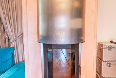 Apartament 3 camere 120mp Cartierul Armenesc - 13