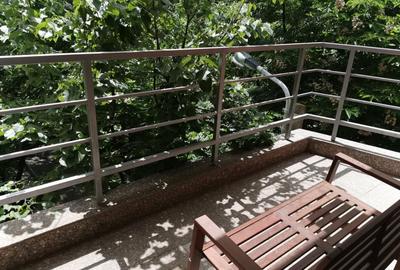 Birouri | 5 camere de închiriat | Zona Herastrau - 17