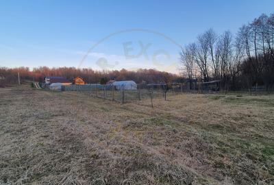 Teren intravilan pentru Casa de Vacanta - Mosoaia -Basangesti - 2