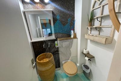 Apartament Duplex 3 Camere Cismigiu - 11