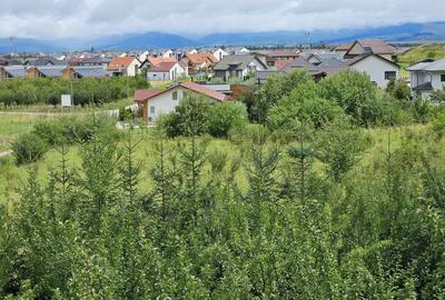 Vila noua-Sanpetru Dealul Lempes, zona verde si linistita - 22