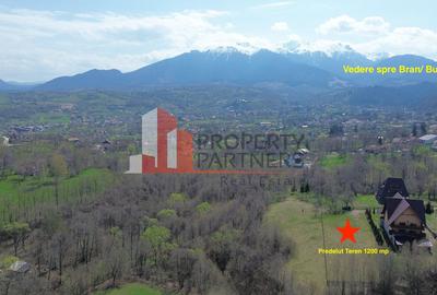 Teren Premium 1.200 mp | Bran - Predelut | Vedere spre Bucegi și Piatra Craiului - 4