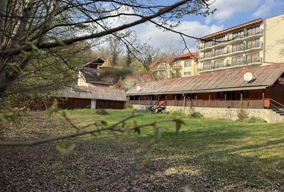 Teren cu potential investitional – Sovata, zona Lacul Ursu - 13