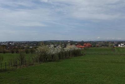 Teren intravilan 5800 mp Mitocasi - Suceava! - 13