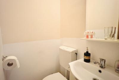 Casa individuala 5 camere- Zona Cetatii Timișoara - 12