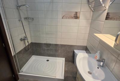 Apartament 2 camere Calea Calarasilor | Hyperion | bloc 2012 | parcare subterana - 12