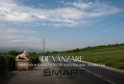 Teren de 67000 mp, în Broscărie