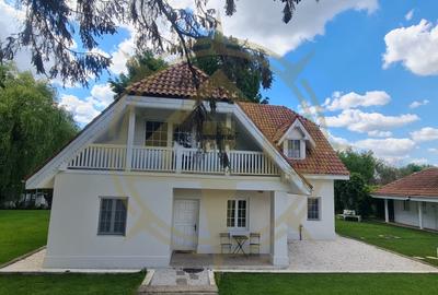 DOM00445 - Vila de poveste la lac cu ponton in Snagov - 3