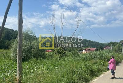 Teren Intravilan-Ideal Investitie-Podis,Margineni,Bacau - 2