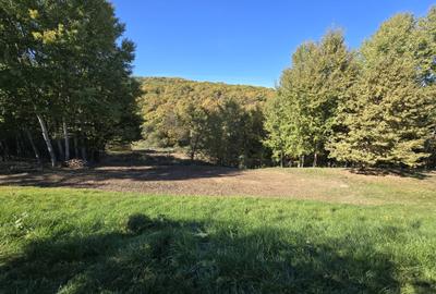 Teren 775 mp, inconjurat de padure, Cisnadioara-Apfelhaus - 1