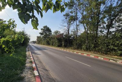 Voluntari - Popasului stradal inchiriere 1700 mp teren - 9