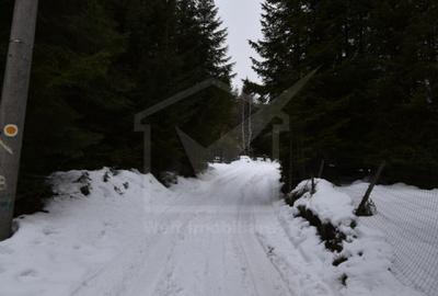 Cabana de vanzare in Muntele Baisorii aproape de partie - 19