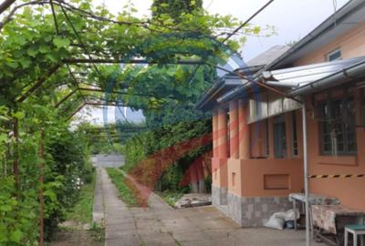 Casa de vanzare/Balcesti/Valcea/Str Pietii - 25