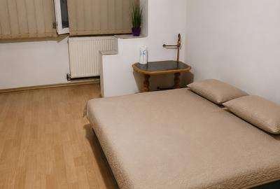 Apartament cu o cameră Calea Lipovei - 1
