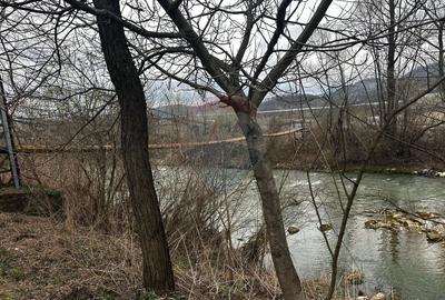 Viseul de Sus- CASA , priveliste, liniste , - 6