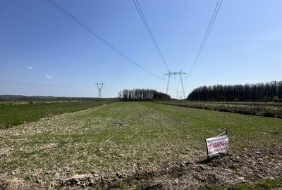 Teren de vânzare 4760Mp Stoilesti - 1