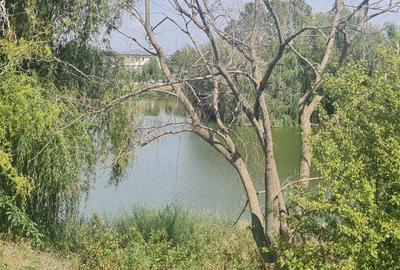 Teren Corbeanca Tamasi vsv de Paradisul verde 16000 mp deschidere lac