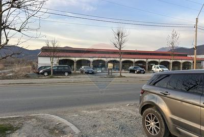 Teren 4,600mp Baia Mare / Strada Oborului - 7