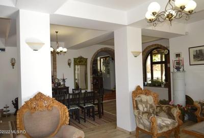 Topoloveni - Conacul Ion Mihalache, Domeniu pe 5 Hectare! - 19