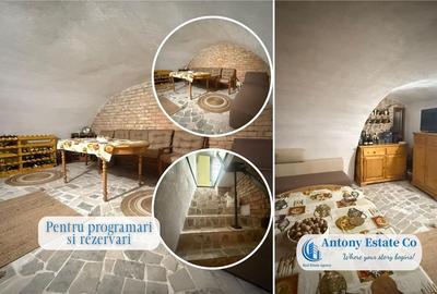 Proprietate cu crama, Ultracentral, casa de vanzare, Oradea, Bihor - 19