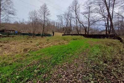 Resita, Teren Drept Intravilan, Langa Prau si Drum, 1308 Mp., 15 Euro Mp., Renk - 15