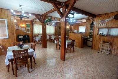 Pensiune turistică de vânzare în Lepșa – o oportunitate unică de afacere - 8