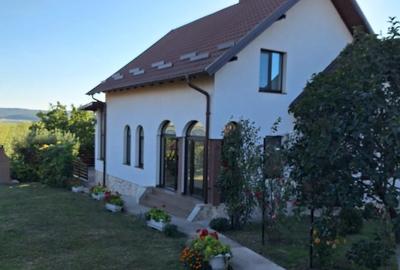Vand casa spatioasa cu livada si teren generos (7200 mp) in Catamaresti-Deal